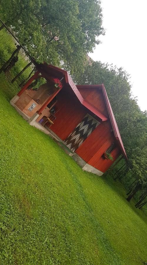 Дома для отпуска Casa La LEPE Roşia Montană-4