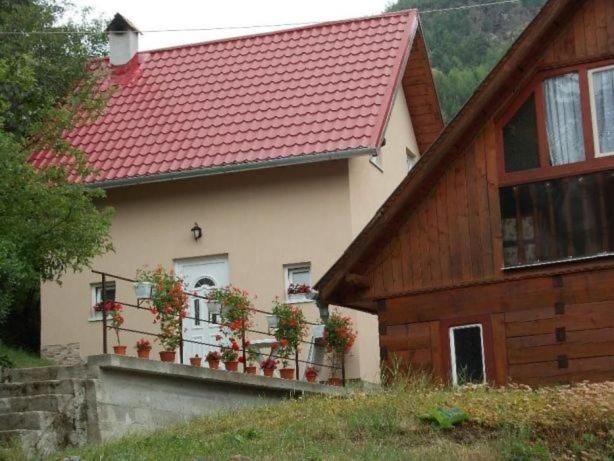 Дома для отпуска Casa La LEPE Roşia Montană-14