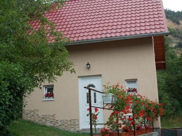 Дома для отпуска Casa La LEPE Roşia Montană-20