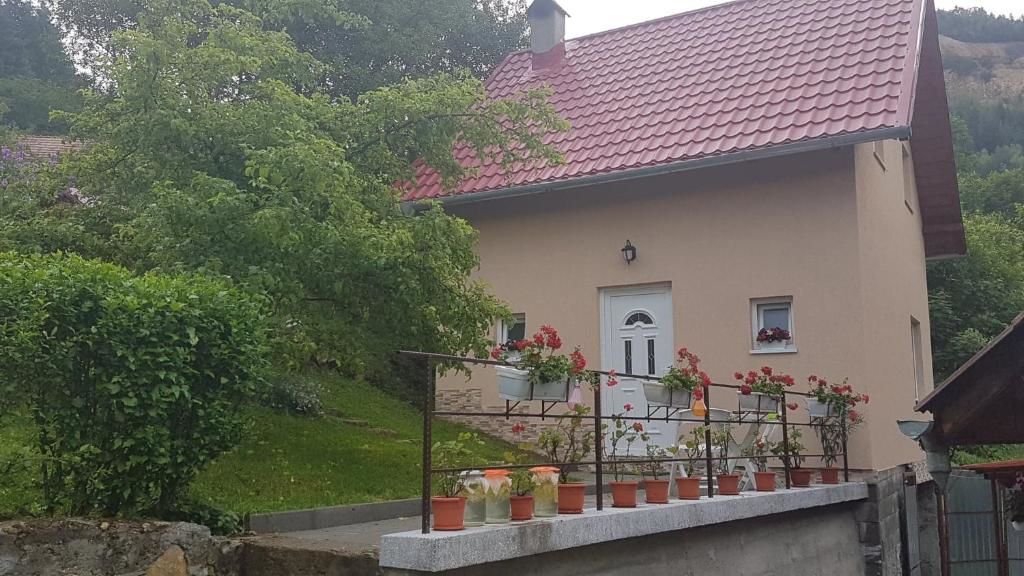 Дома для отпуска Casa La LEPE Roşia Montană-25