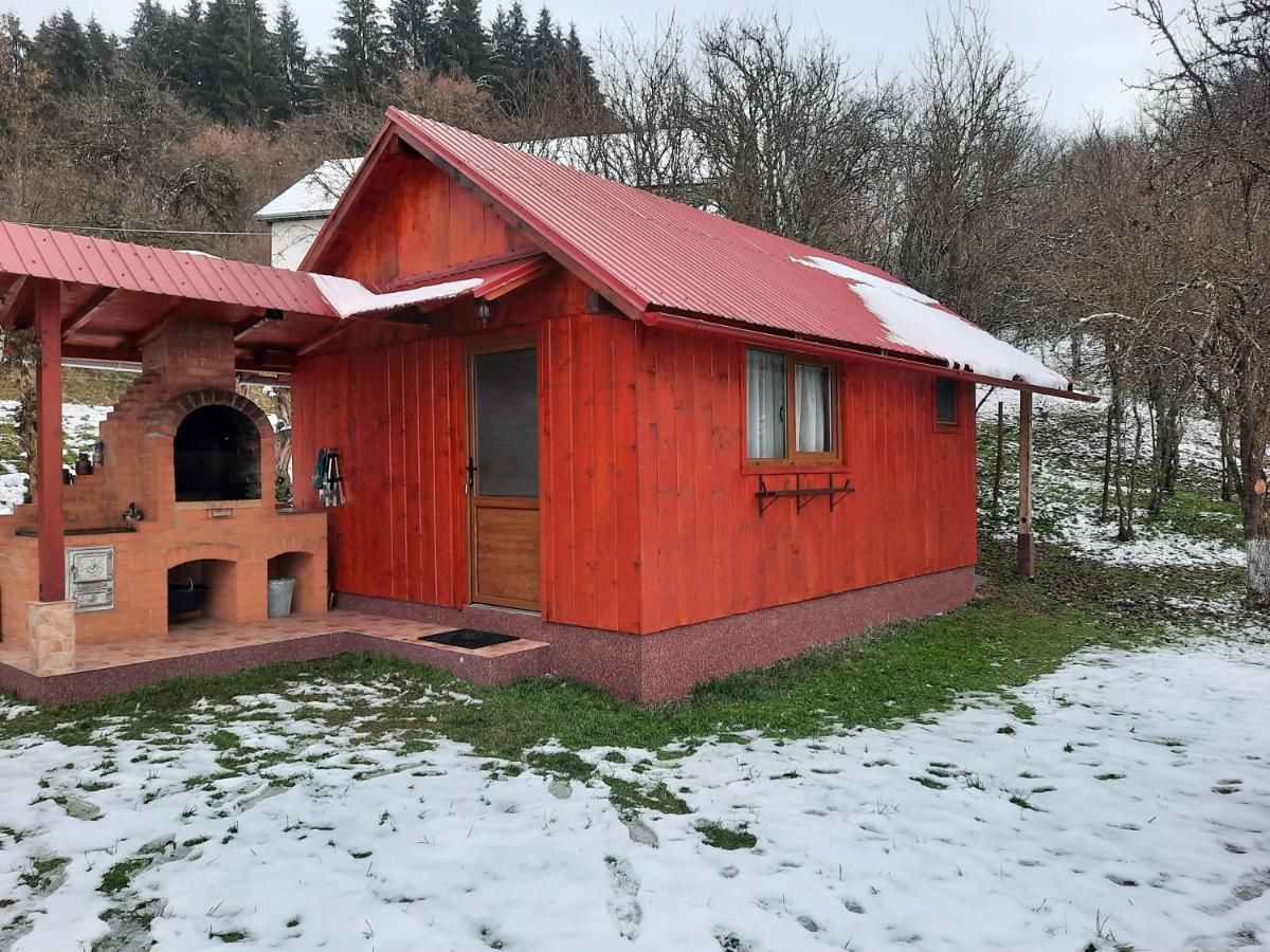 Дома для отпуска Casa La LEPE Roşia Montană-11