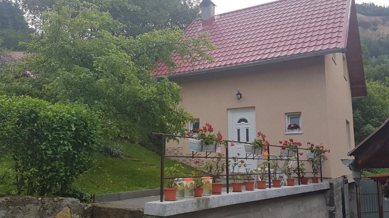 Дома для отпуска Casa La LEPE Roşia Montană-12