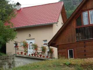 Дома для отпуска Casa La LEPE Roşia Montană Дом с 2 спальнями-3
